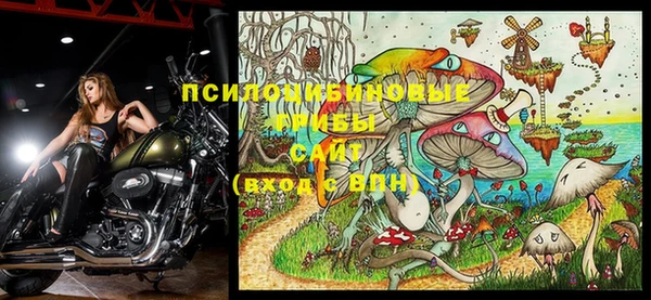 MDMA Premium VHQ Зеленодольск