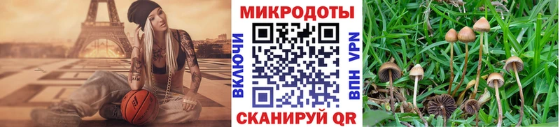 Галлюциногенные грибы мицелий Емва
